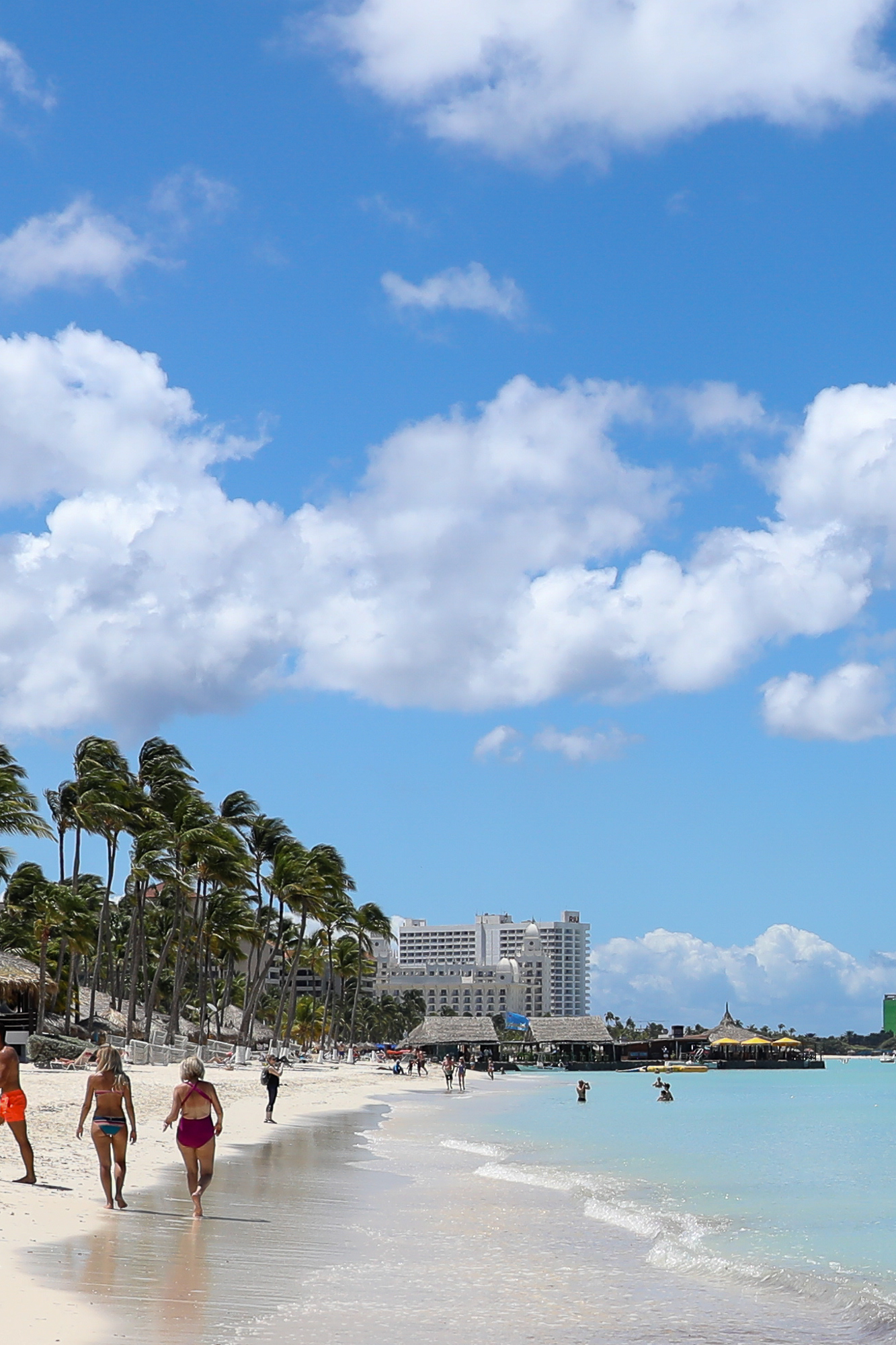 Villa Esmeralda Located near to Palm Beach Aruba